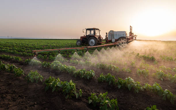 Best Bird Control  in Wasco, CA
