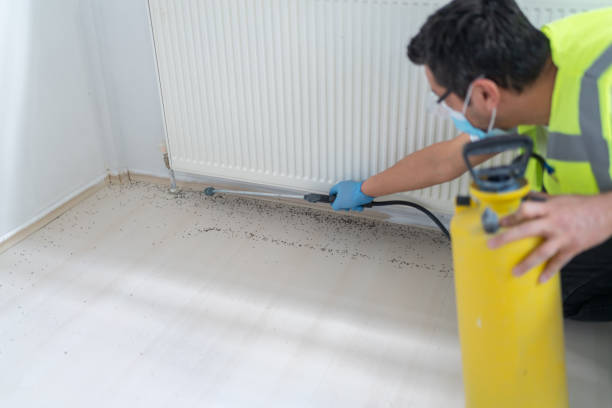 Best Termite Control Services  in Wasco, CA